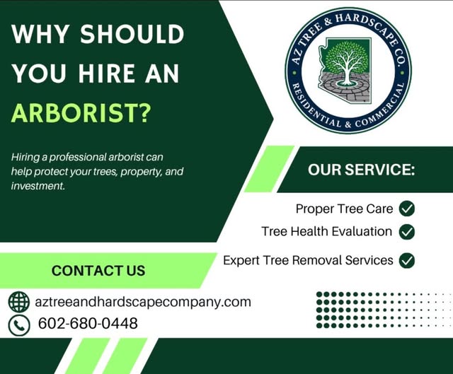 Instagram post by @aztreeandhardscapeco
